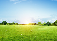 �˶�������Ϊ���ư�֢�ġ�һ����ҩ��������������֪���ˣ�