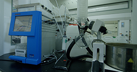 ʵ������