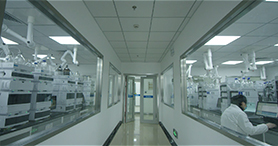 ʵ��������