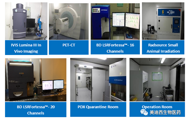 ×ðÁú¿Ê±Ò©Àí²¿ÓµÓÐIVIS Lumina III, PET-CT, BD LSRFortessa-16
£¬Flow CytometryµÈÒÇÆ÷ ×ðÁú¿Ê±Ò©Àí²¿ÓµÓÐIVIS Lumina III, PET-CT, BD LSRFortessa-16
£¬Flow CytometryµÈÒÇÆ÷