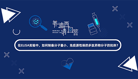 ��ELISAʵ���������Ʊ�������С������ԭ�����Ķ���ҩ����ӵĿ�����