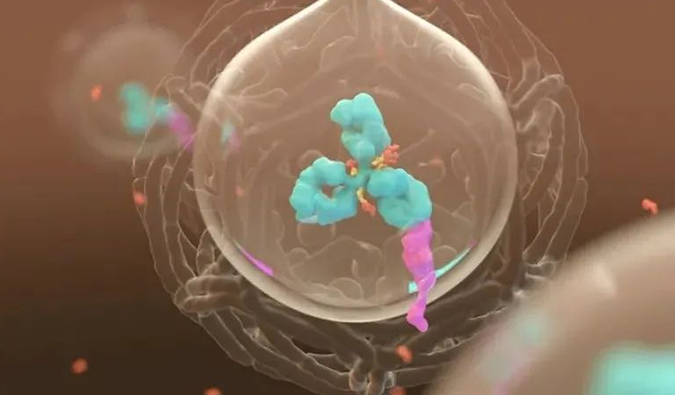 ���� | ������ʱ������ʶADC����֮��