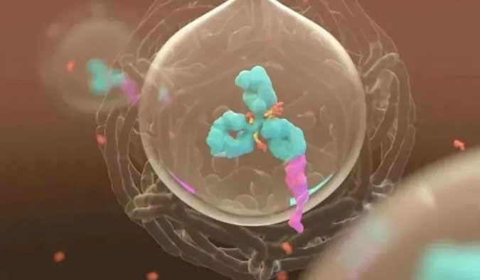 ���� | ADC��Ϊ�����ҩ����׼���