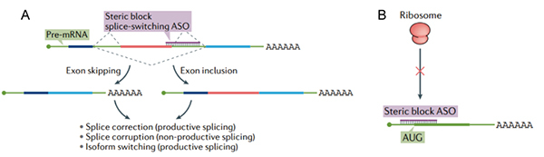 ASO×÷ÓûúÖÆ.jpg ASO×÷ÓûúÖÆ.jpg