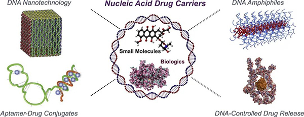 ºËËáÒ©ÎïµÝËͱÚÀÝ.jpg ºËËáÒ©ÎïµÝËͱÚÀÝ.jpg