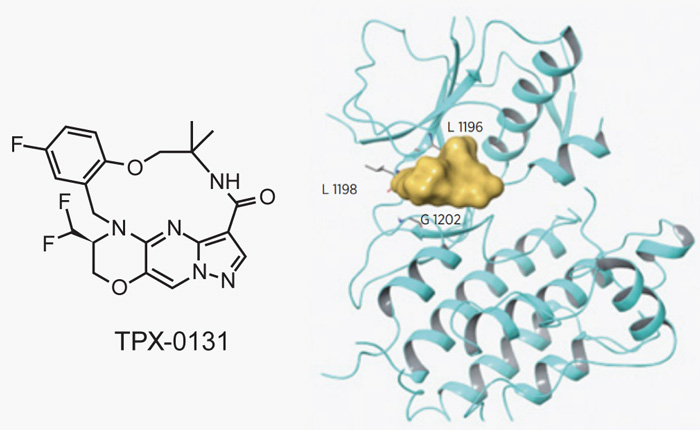 TPX-0131µÄ½á¹¹Éè¼Æ.jpg TPX-0131µÄ½á¹¹Éè¼Æ.jpg