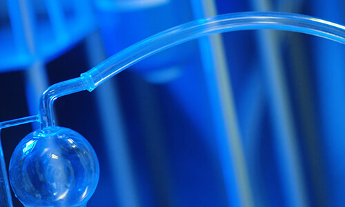 Respiratory-system.jpg Respiratory-system.jpg