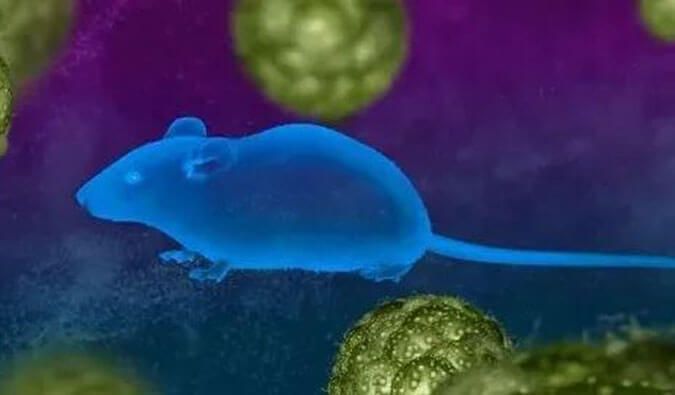 ������ʱҩЧЧ�͸���First-in-Class���ػ����Ƽ��з�