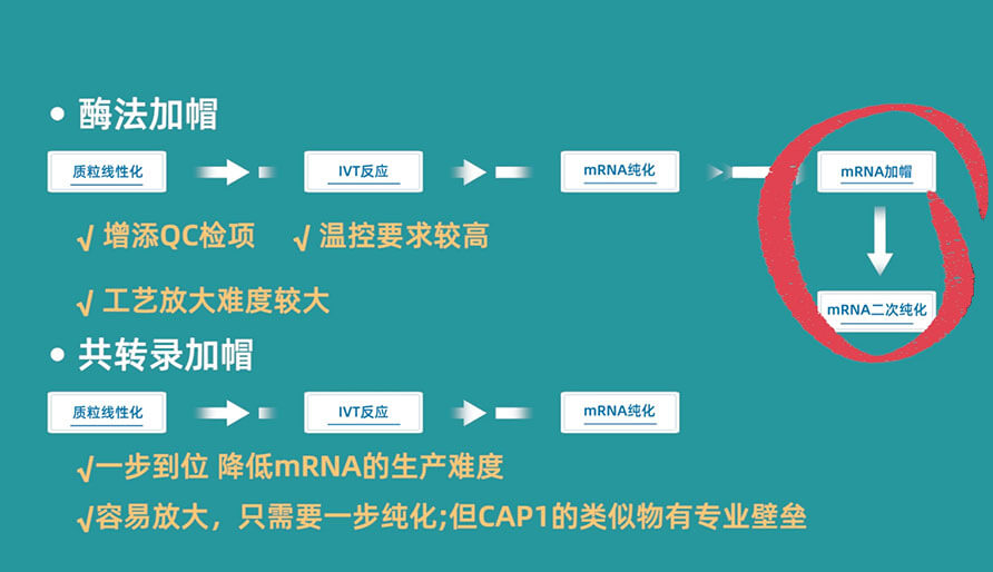 ø����ñ�����������͹�ת¼��ñ��һ�������ķ�������