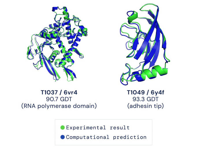 AlphaFoldÕ¹ÍûµÄÂѰ×ÖʽṹÓëÏÖʵЧ¹û»ù±¾ÎǺÏ.jpg AlphaFoldÕ¹ÍûµÄÂѰ×ÖʽṹÓëÏÖʵЧ¹û»ù±¾ÎǺÏ.jpg