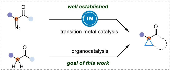 1-Common-approach-for-cyclopropane-synthesis-and-goal-of-this-work.jpg 1-Common-approach-for-cyclopropane-synthesis-and-goal-of-this-work.jpg