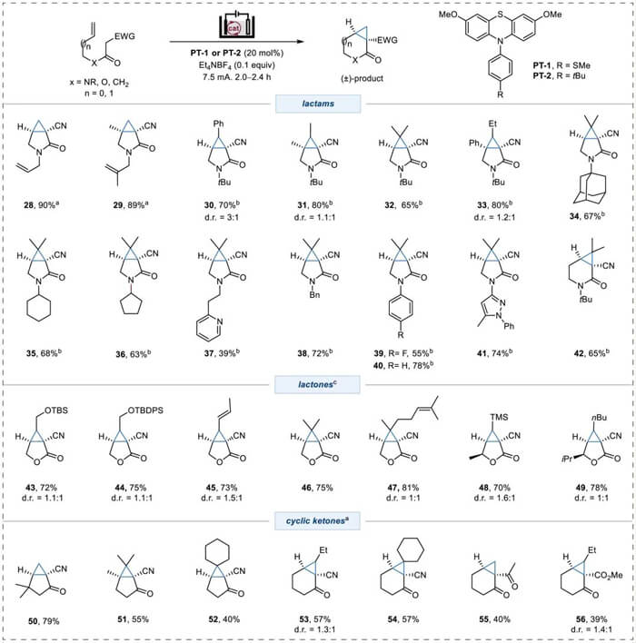 6-Substrate-scope-for-cyclopropane-fused-lactams,-lactones,-and-cyclic-ketones.jpg 6-Substrate-scope-for-cyclopropane-fused-lactams,-lactones,-and-cyclic-ketones.jpg