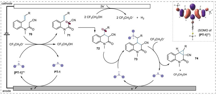 7-Mechanistic-proposal.jpg 7-Mechanistic-proposal.jpg