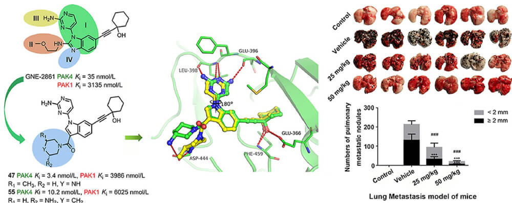 1-Compound-55-is-effective-in-the-treatment-of-metastatic-cancer-1.jpg 1-Compound-55-is-effective-in-the-treatment-of-metastatic-cancer-1.jpg