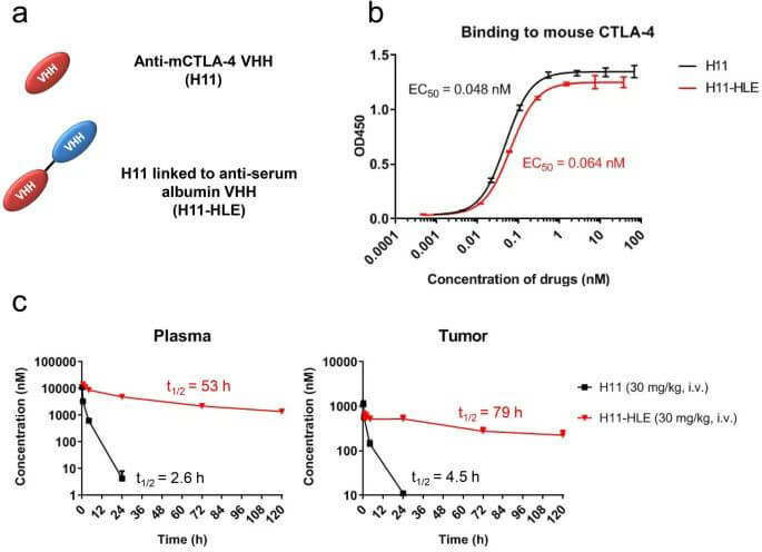 4-H11-HLE-1.jpg 4-H11-HLE-1.jpg
