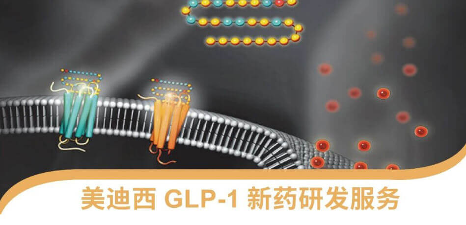 GLP-1ҩзЧƽ̨.jpg