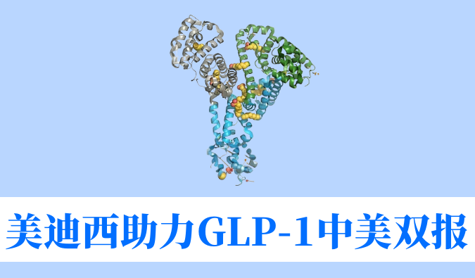 ʱͬΤGLP-1СӼWBD156INDٴ˫˫