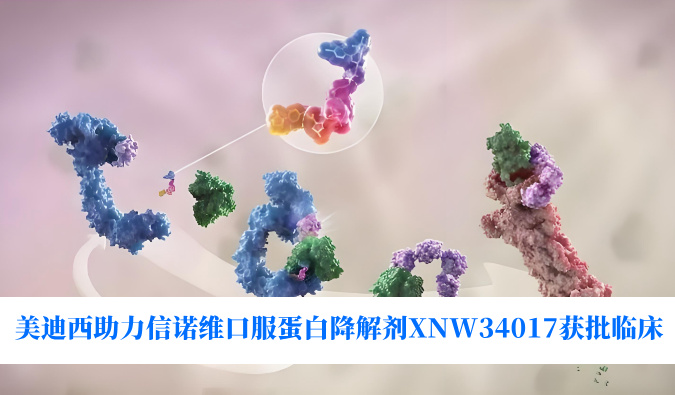 ������ʱ��������ͬ����ŵά�ڷ��Ѱ׽����XNW34017�����ٴ�