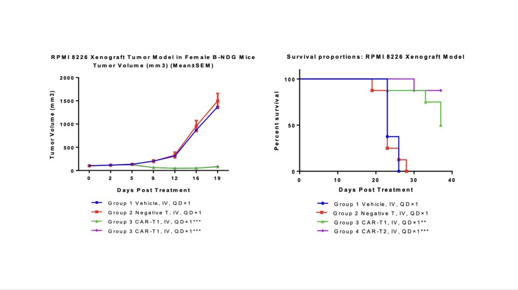 ¶à·¢ÐÔ¹ÇËèÁöÒìÖÖÒÆÖ²ÖеÄCAR-TÖÎÁÆ.jpeg ¶à·¢ÐÔ¹ÇËèÁöÒìÖÖÒÆÖ²ÖеÄCAR-TÖÎÁÆ.jpeg