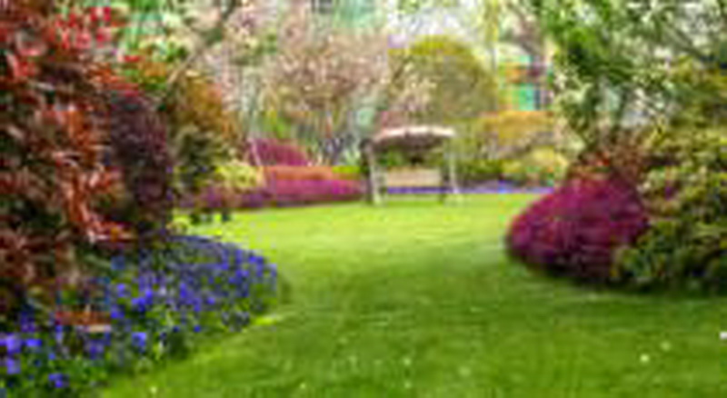 亲友游戏中心-亲友多乐斗-亲友天天坦克大战