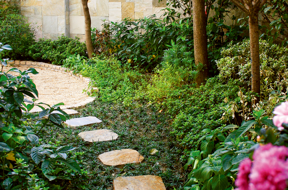 亲友游戏中心-亲友多乐斗-亲友天天坦克大战